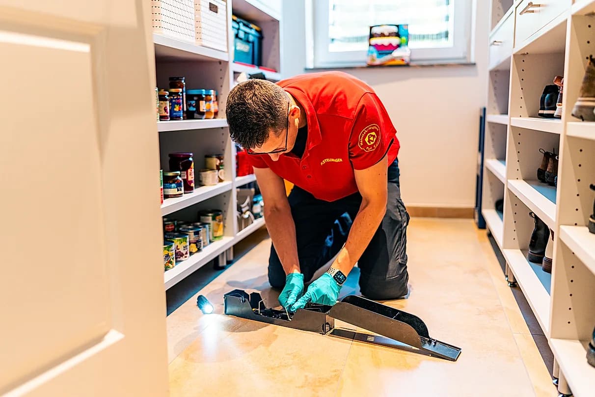 Mitarbeiter der Matuszak Hygiene setzt eine Falle in einem Vorratsregal